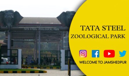 Tata Steel Zoological Park