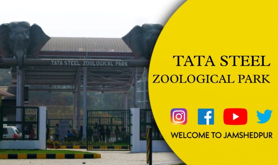 Tata Steel Zoological Park: Timings, Ticket Price, How to Reach & Contact Details