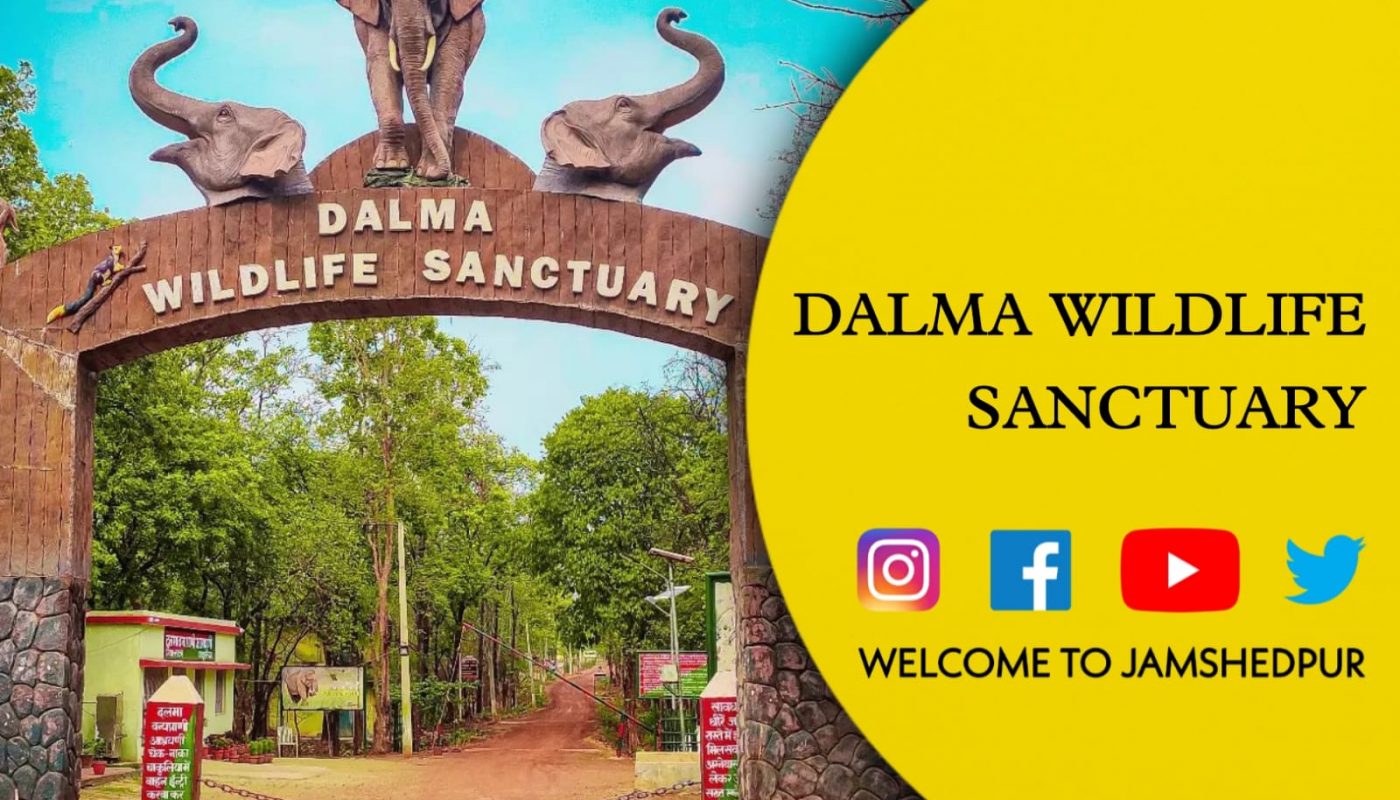 dalma wildlife sanctuary tour packages
