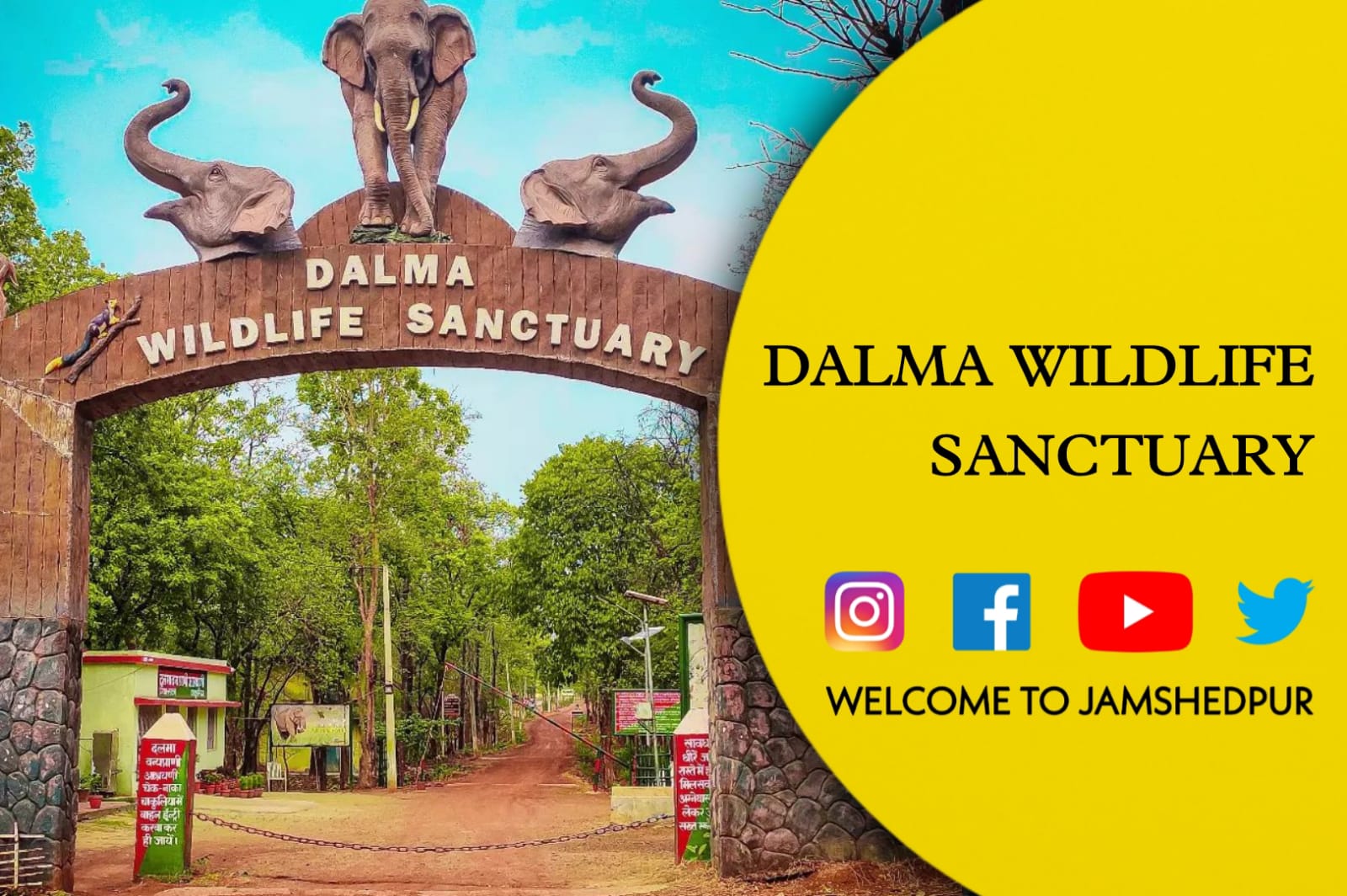 dalma wildlife sanctuary safari