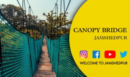 Canopy Bridge Jamshedpur