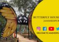 Jamshedpur's New Butterfly House