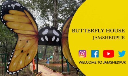 Jamshedpur's New Butterfly House