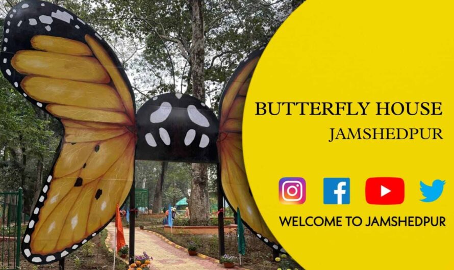 Exploring Jamshedpur’s New Butterfly House: A Haven for Nature Enthusiasts