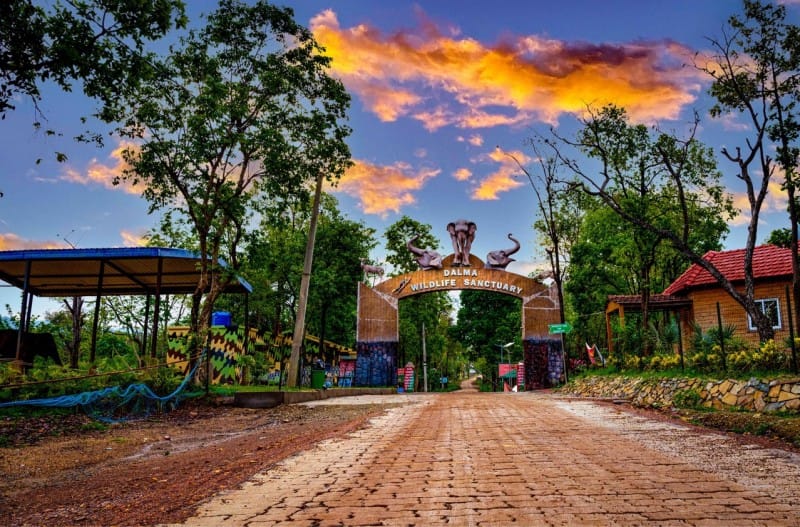 dalma wildlife sanctuary - team wtj