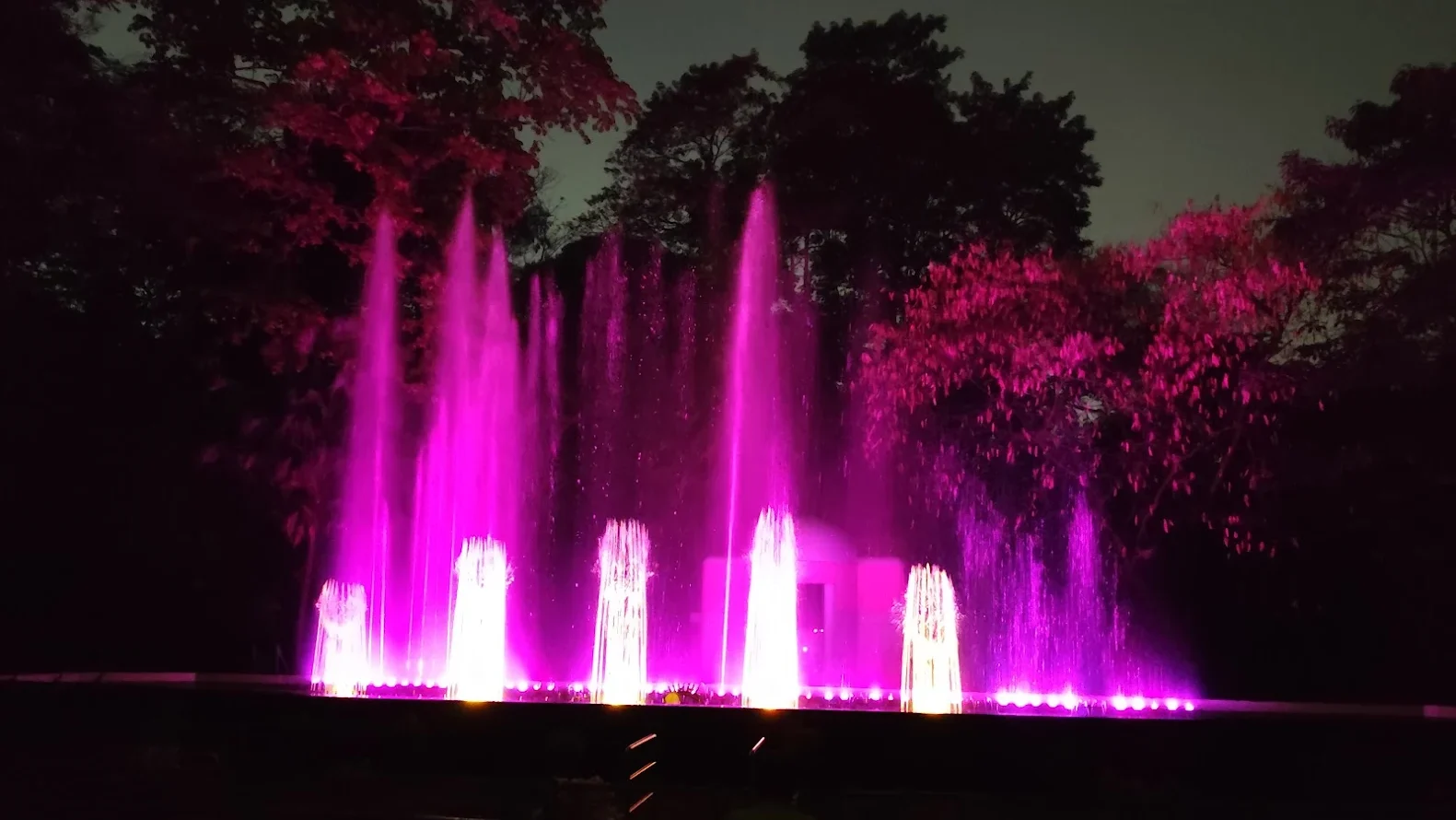 laser show jubilee park - team wtj