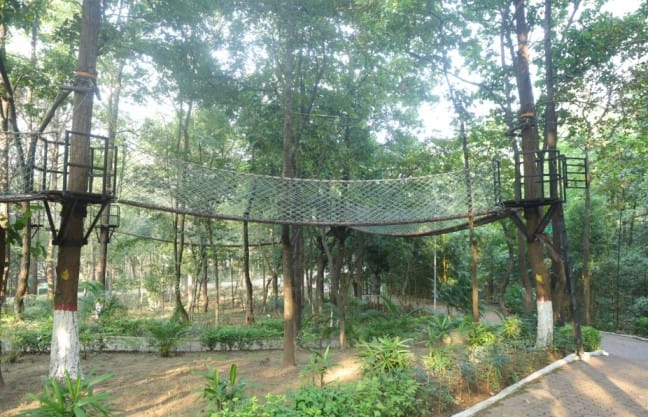 Canopy Walk