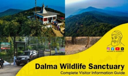 Dalma Wildlife Sanctuary
