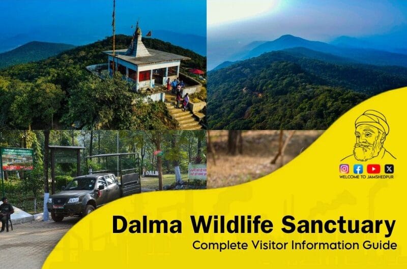 Dalma Wildlife Sanctuary – Complete Visitor Information Guide