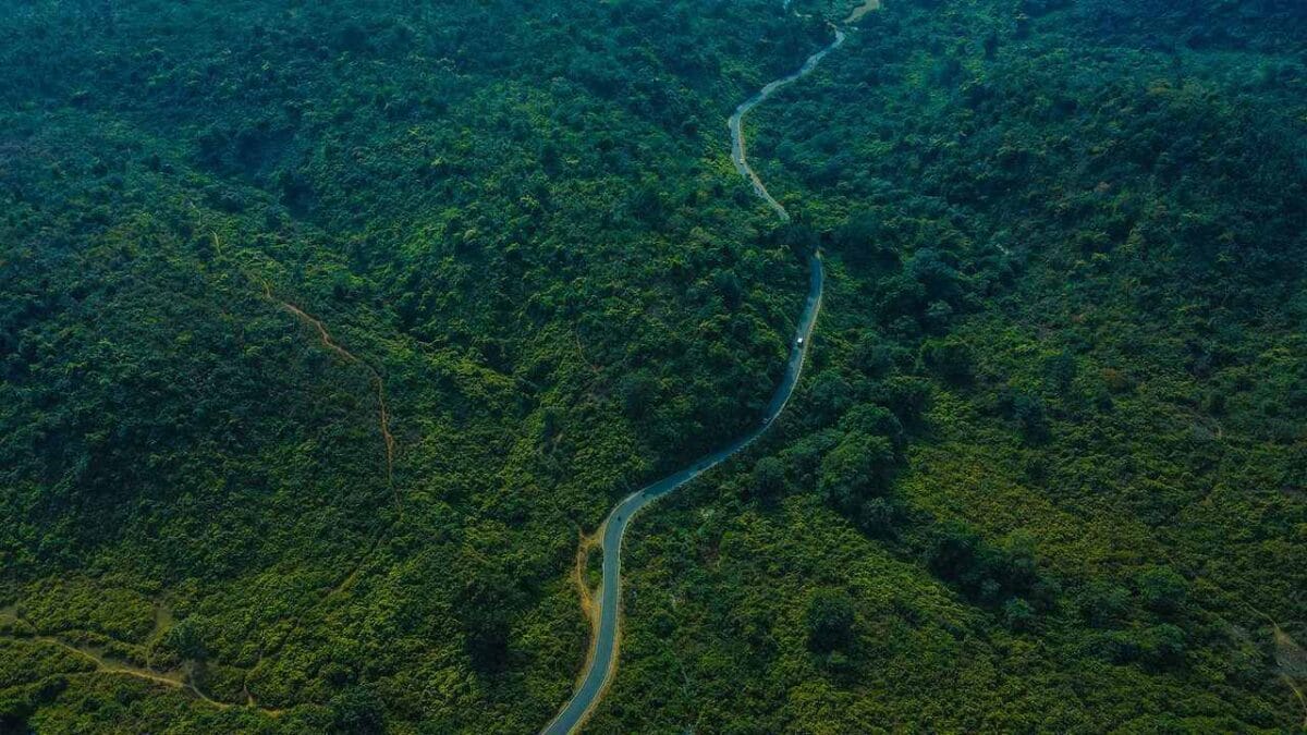 dalma-hills-jamshedpur