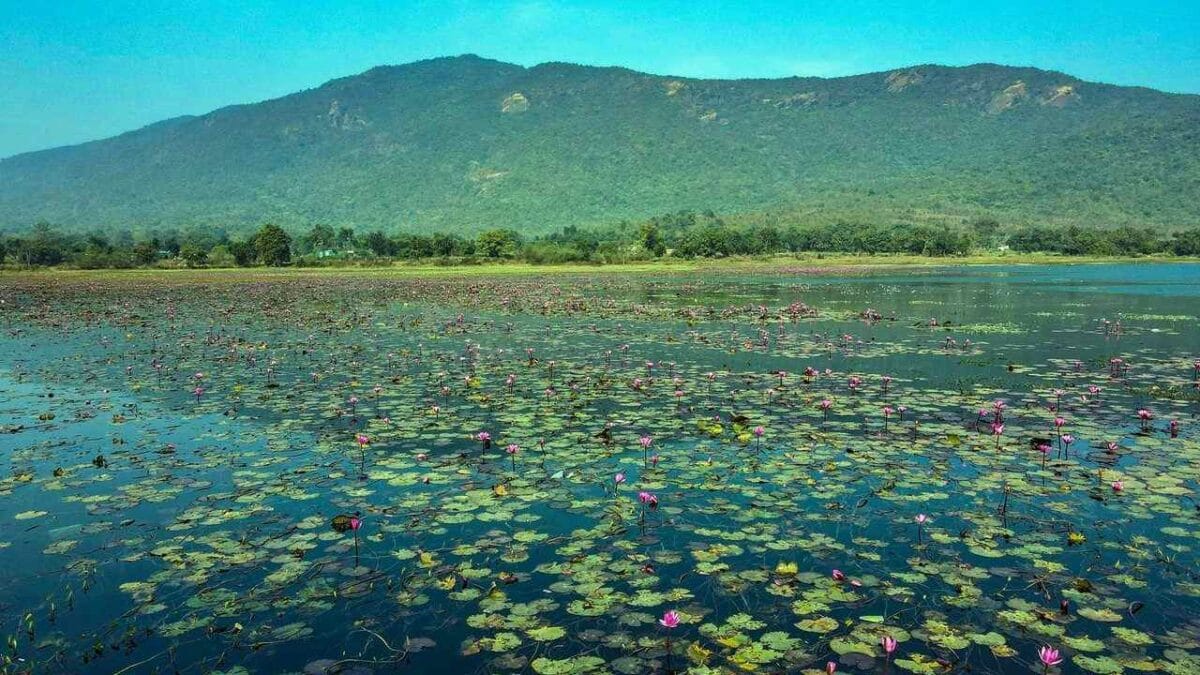 Dimna Lake, Jamshedpur